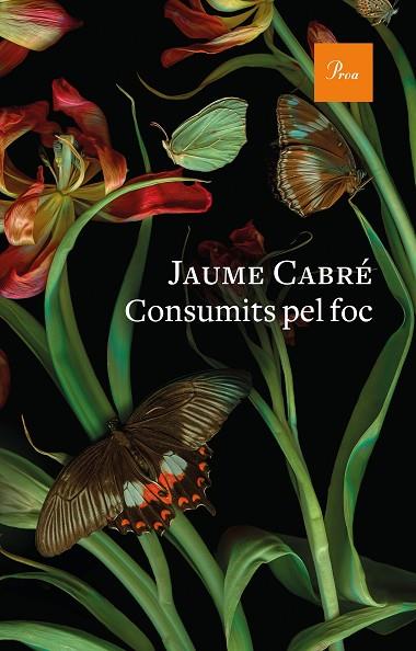 CONSUMITS PEL FOC | 9788475888835 | CABRÉ, JAUME | Cooperativa Cultural Rocaguinarda