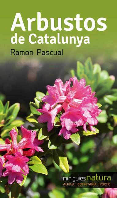 ARBUSTOS DE CATALUNYA | 9788490343340 | PASCUAL I LLUVIÀ, RAMON | Cooperativa Cultural Rocaguinarda