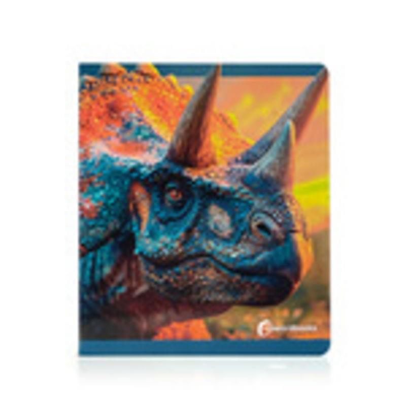 DINOSAURIOS | 9788412906837 | NOWORDBOOKS | Cooperativa Cultural Rocaguinarda