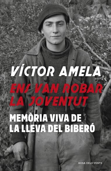 ENS VAN ROBAR LA JOVENTUT | 9788417627997 | AMELA, VÍCTOR | Cooperativa Cultural Rocaguinarda