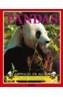 PANDAS | 9788420743202 | CORK, BARBARA TAYLOR | Cooperativa Cultural Rocaguinarda