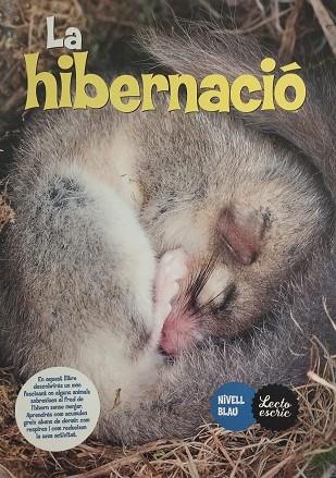 HIBERNACIÓ, LA | 9788409807420 | COSTA IZURDIAGA, ANDRES | Cooperativa Cultural Rocaguinarda