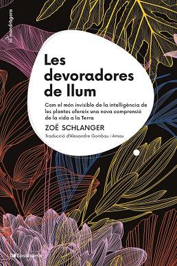 DEVORADORES DE LLUM, LES | 9788413564821 | SCHLANGER, ZOË | Cooperativa Cultural Rocaguinarda