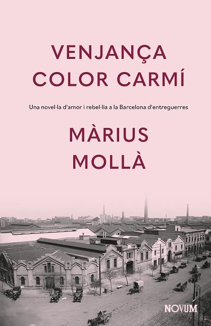 VENJANÇA COLOR CARMÍ | 9788419311771 | MOLLÀ, MÀRIUS | Cooperativa Cultural Rocaguinarda