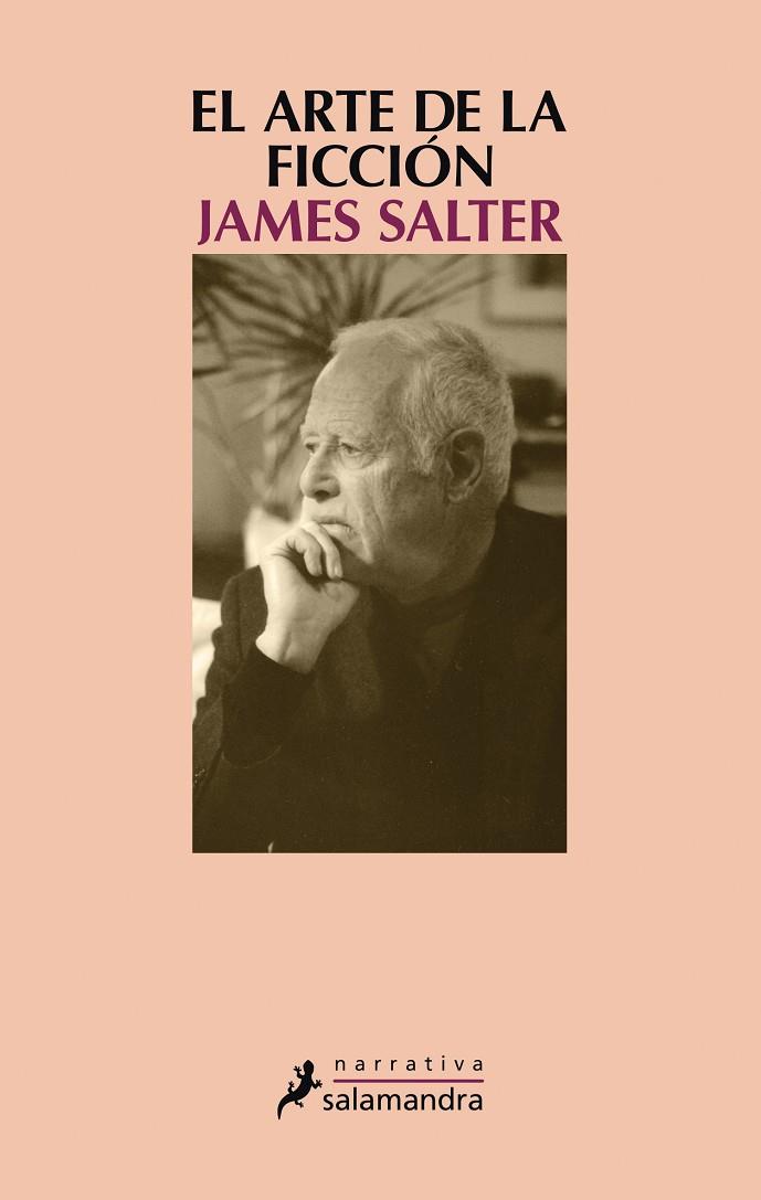 ARTE DE LA FICCIÓN, EL | 9788498388442 | SALTER, JAMES | Cooperativa Cultural Rocaguinarda