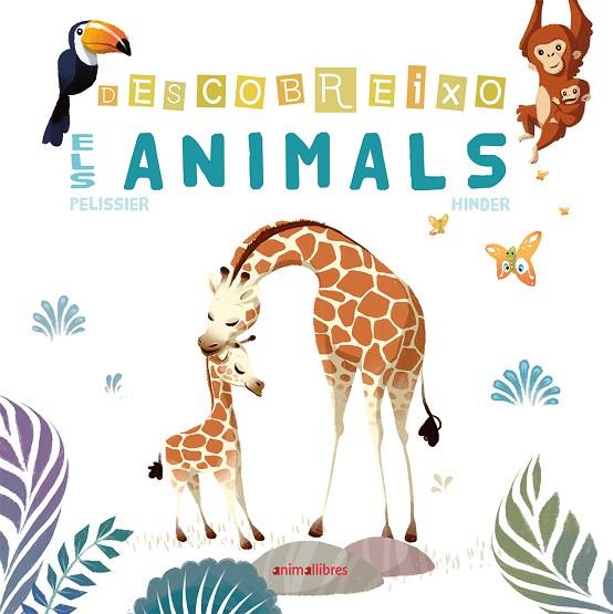 DESCOBREIXO ELS ANIMALS | 9788416844869 | PELISSIER, JÉRÔME/HINDER, CARINE | Cooperativa Cultural Rocaguinarda