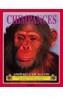 CHIMPANCES | 9788420747880 | CORK, BARBARA TAYLOR | Cooperativa Cultural Rocaguinarda