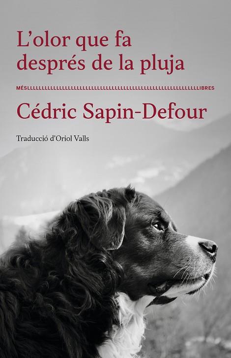 OLOR QUE FA DESPRÉS DE LA PLUJA, L' | 9788417353568 | SAPIN-DEFOUR, CÉDRIC | Cooperativa Cultural Rocaguinarda