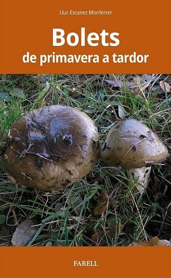 BOLETS DE PRIMAVERA A TARDOR | 9788417116538 | Cooperativa Cultural Rocaguinarda