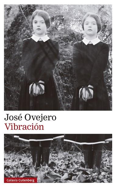 VIBRACIÓN | 9788419738615 | OVEJERO, JOSÉ | Cooperativa Cultural Rocaguinarda