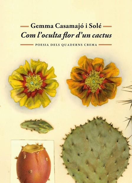 COM L'OCULTA FLOR D'UN CACTUS | 9788477277071 | CASAMAJÓ I SOLÉ, GEMMA | Cooperativa Cultural Rocaguinarda