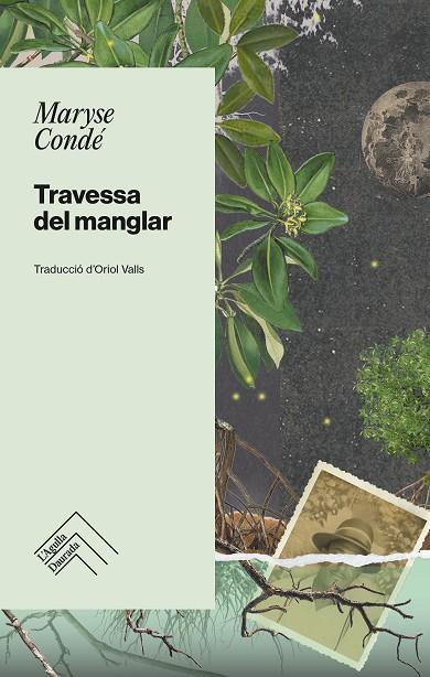 TRAVESSA DEL MANGLAR | 9788419515001 | CONDÉ, MARYSE | Cooperativa Cultural Rocaguinarda