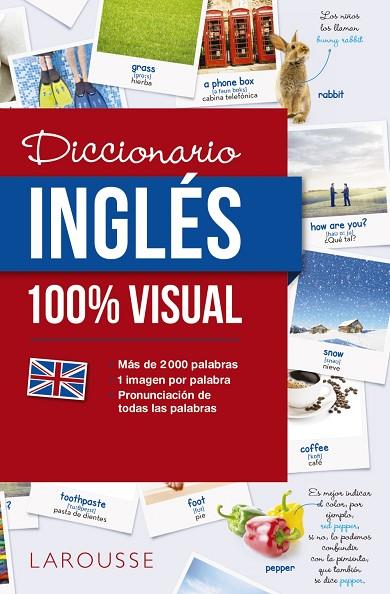 DICCIONARIO DE INGLÉS 100% VISUAL | 9788416641772 | LAROUSSE EDITORIAL | Cooperativa Cultural Rocaguinarda