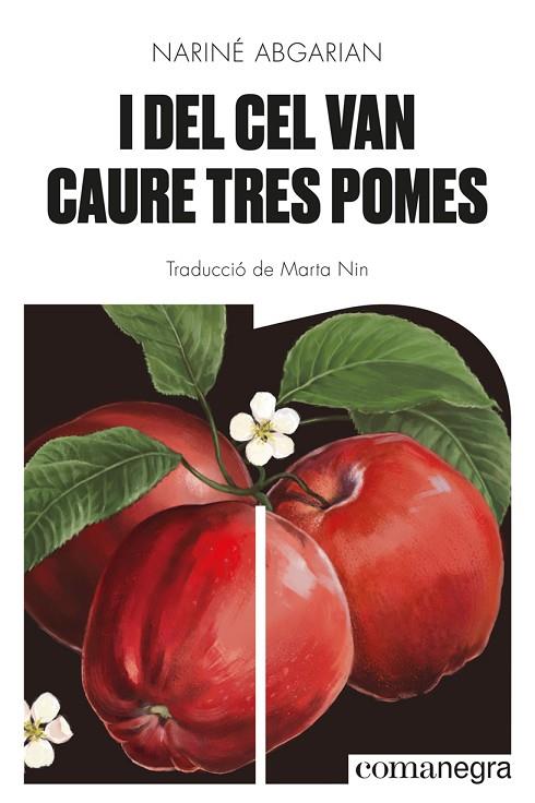 I DEL CEL VAN CAURE TRES POMES | 9788418857041 | ABGARIAN, NARINÉ | Cooperativa Cultural Rocaguinarda