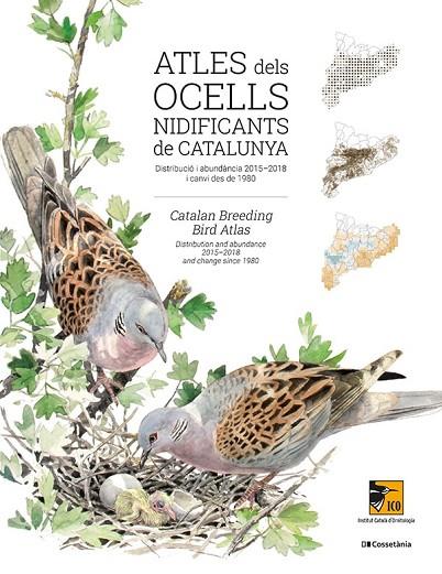 ATLES DELS OCELLS NIDIFICANTS DE CATALUNYA | 9788413560939 | AUTORS, DIVERSOS | Cooperativa Cultural Rocaguinarda