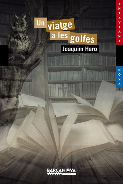 VIATGE A LES GOLFES, UN  | 9788448938598 | HARO, JOAQUIM | Cooperativa Cultural Rocaguinarda