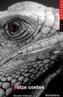DOTZE CONTES | 9788448911133 | COMELLES, SALVADOR | Cooperativa Cultural Rocaguinarda