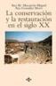 CONSERVACION Y LA RESTAURACION EN EL SIGLO XX, LA | 9788430931651 | MACARRON MIGUEL, A./ GONZALEZ MOZO, A. | Cooperativa Cultural Rocaguinarda