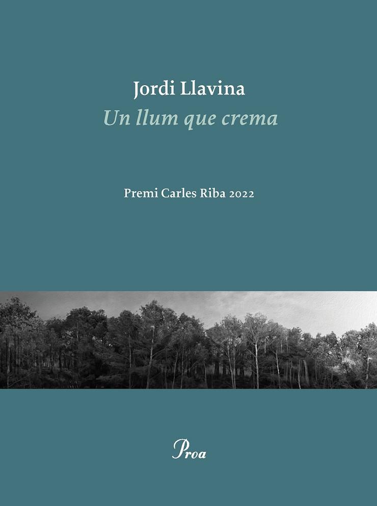 LLUM QUE CREMA, UN | 9788475889979 | LLAVINA, JORDI | Cooperativa Cultural Rocaguinarda