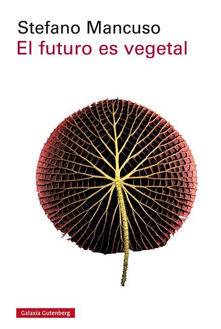 FUTURO ES VEGETAL, EL | 9788417088170 | MANCUSO, STEFANO | Cooperativa Cultural Rocaguinarda