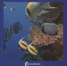 ANIMALES MARINOS | 9788494295607 | DAVID MARTÍN | Cooperativa Cultural Rocaguinarda