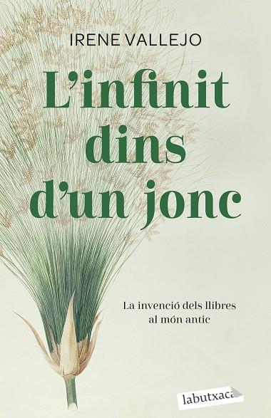 INFINIT DINS D'UN JONC, L' | 9788419107121 | VALLEJO, IRENE | Cooperativa Cultural Rocaguinarda