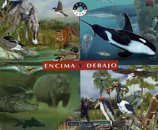 ENCIMA Y  DEBAJO | 9788426136176 | BERTOLUCCI - CUCCHIARINI | Cooperativa Cultural Rocaguinarda