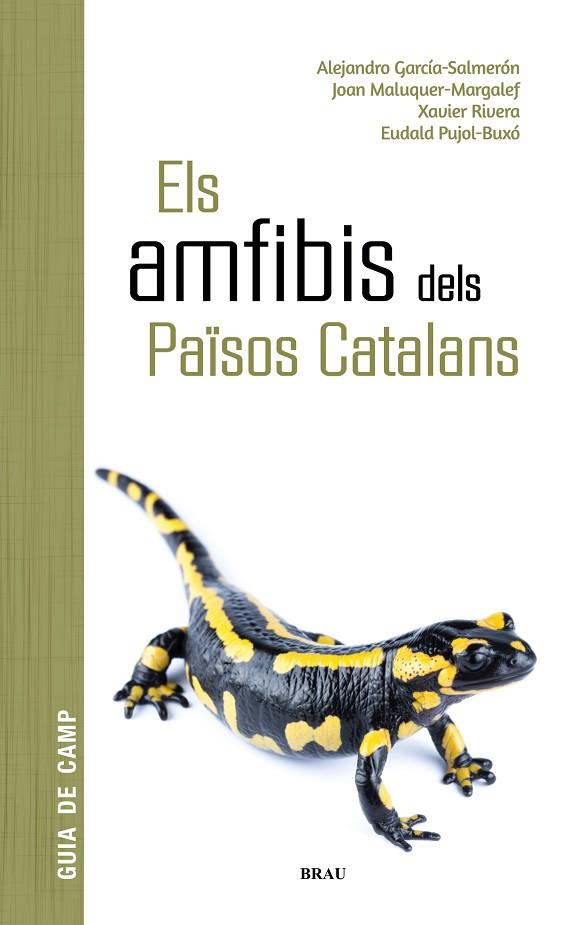 AMFIBIS DELS PAÏSOS CATALANS, ELS  | 9788418096341 | GARCÍA SALMERÓN, ALEJANDRO/MALUQUER MARGALEF, JOAN/RIVERA MULA, XAVIER/PUJOL BUXÓ, EUDALD | Cooperativa Cultural Rocaguinarda