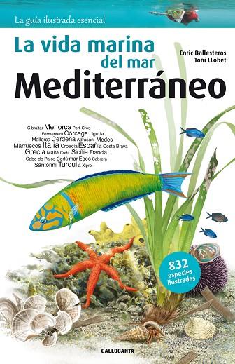 VIDA MARINA DEL MAR MEDITERRÁNEO, LA | 9788415885269 | BALLESTEROS SAGARRA, ENRIC | Cooperativa Cultural Rocaguinarda