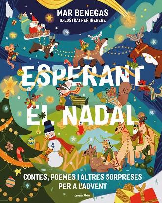 ESPERANT EL NADAL. CONTES, POEMES I ALTRES SORPRESES PER A L'ADVENT | 9791388358012 | BENEGAS, MAR | Cooperativa Cultural Rocaguinarda