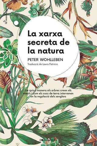 XARXA SECRETA DE LA NATURA, LA | 9788413562872 | WOHLLEBEN, PETER | Cooperativa Cultural Rocaguinarda