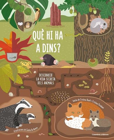QUÈ HI HA A DINS? | 9788490347607 | BANFI , CRISTINA/PERABONI, CRISTINA | Cooperativa Cultural Rocaguinarda