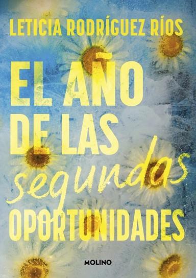 AÑO DE LAS SEGUNDAS OPORTUNIDADES, EL | 9788427242807 | RODRÍGUEZ RÍOS, LETICIA | Cooperativa Cultural Rocaguinarda