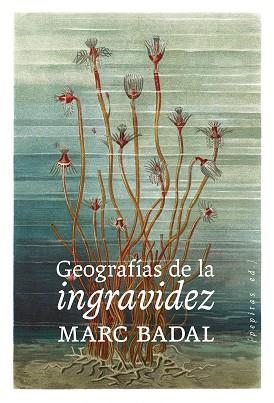 GEOGRAFÍAS DE LA INGRAVIDEZ | 9788418998669 | BADAL PIJOAN, MARC | Cooperativa Cultural Rocaguinarda