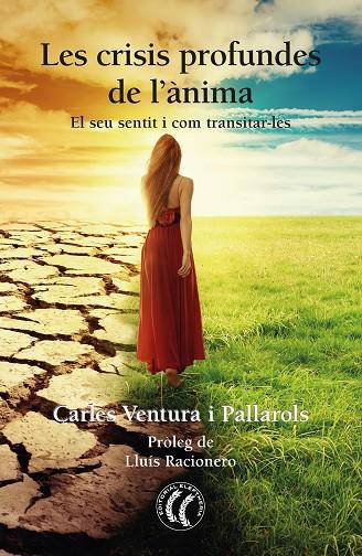 CRISIS PROFUNDES DE L'ÀNIMA, LES | 9788412067187 | VENTURA PALLAROLS, CARLES | Cooperativa Cultural Rocaguinarda