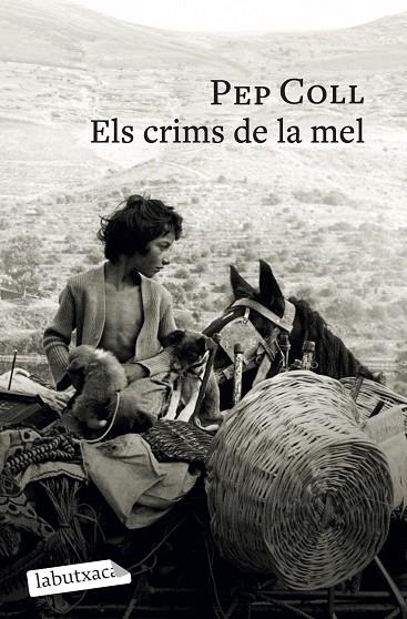 CRIMS DE LA MEL, ELS | 9791387802196 | COLL, PEP | Cooperativa Cultural Rocaguinarda
