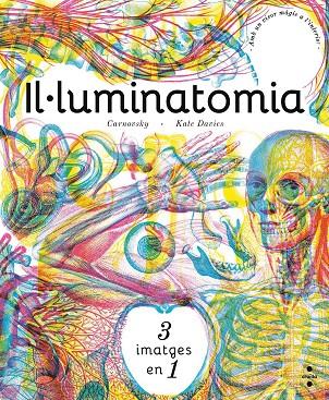 IL ·LUMINATOMIA | 9788466143240 | CARNOVSKY,/DAVIES, KATE | Cooperativa Cultural Rocaguinarda