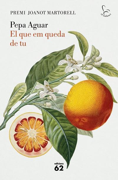 QUE EM QUEDA DE TU, EL | 9788429779097 | AGUAR, PEPA | Cooperativa Cultural Rocaguinarda