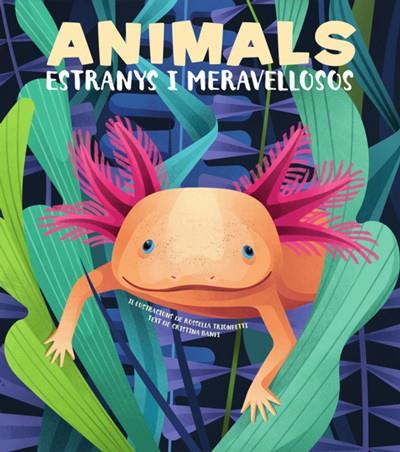 ANIMALS EXTRANYS I MERAVELLOSOS (VVKIDS) | 9788468270685 | BANFI, CRISTINA | Cooperativa Cultural Rocaguinarda