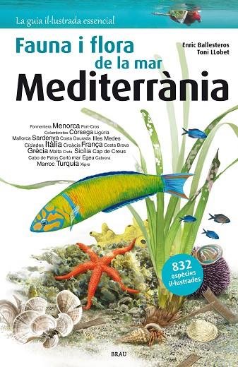FLORA I FAUNA DE LA MAR MEDITERRÀNIA | 9788415885252 | BALLESTEROS SAGARRA, ENRIC | Cooperativa Cultural Rocaguinarda