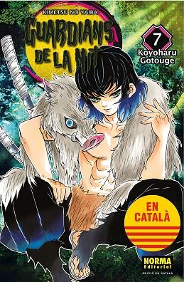 GUARDIANS DE LA NIT 07 | 9788467958539 | KOYOHARU GOTOUGE | Cooperativa Cultural Rocaguinarda