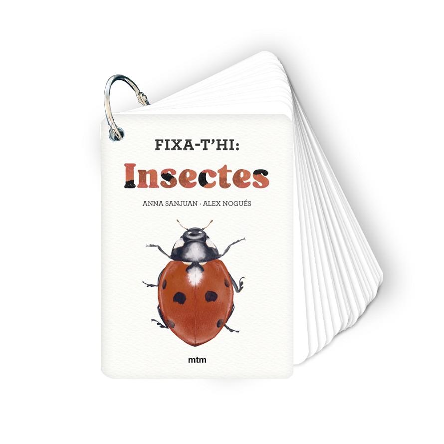 FIXA-T'HI: INSECTES | 9788410407213 | SANJUAN LLORENS, ANNA/NOGUÉS OTERO, ALEX | Cooperativa Cultural Rocaguinarda