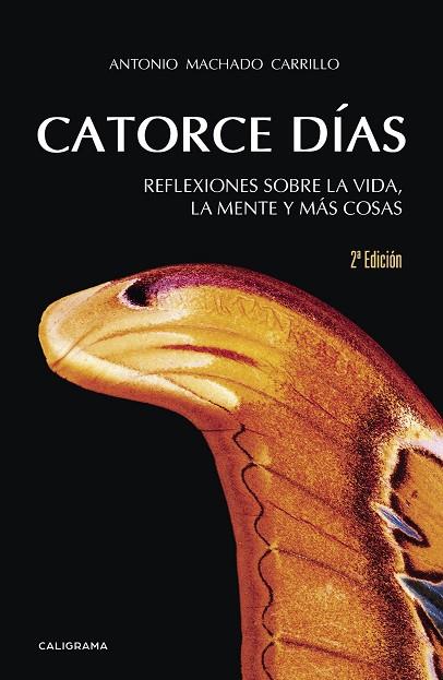 CATORCE DÍAS | 9788417234775 | MACHADO CARRILLO, ANTONIO | Cooperativa Cultural Rocaguinarda