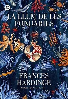 LLUM DE LES FONDÀRIES, LA | 9788483436035 | HARDINGE, FRANCES | Cooperativa Cultural Rocaguinarda