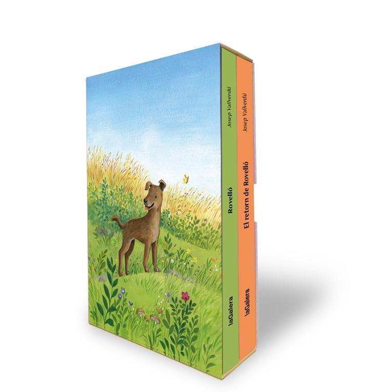 ESTOIG ROVELLÓ | 9788424676520 | VALLVERDÚ I AIXALÀ, JOSEP | Cooperativa Cultural Rocaguinarda