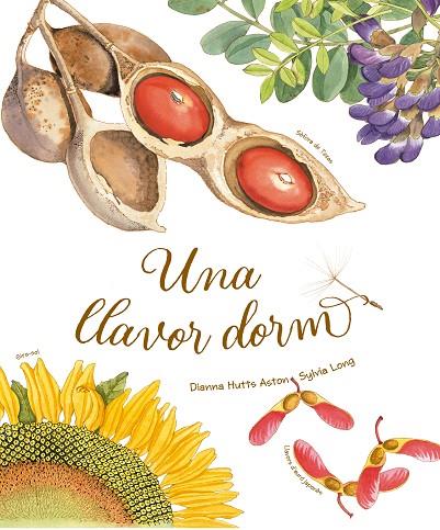 LLAVOR DORM, UNA | 9788418900235 | HUTTS ASTON, DIANNA | Cooperativa Cultural Rocaguinarda