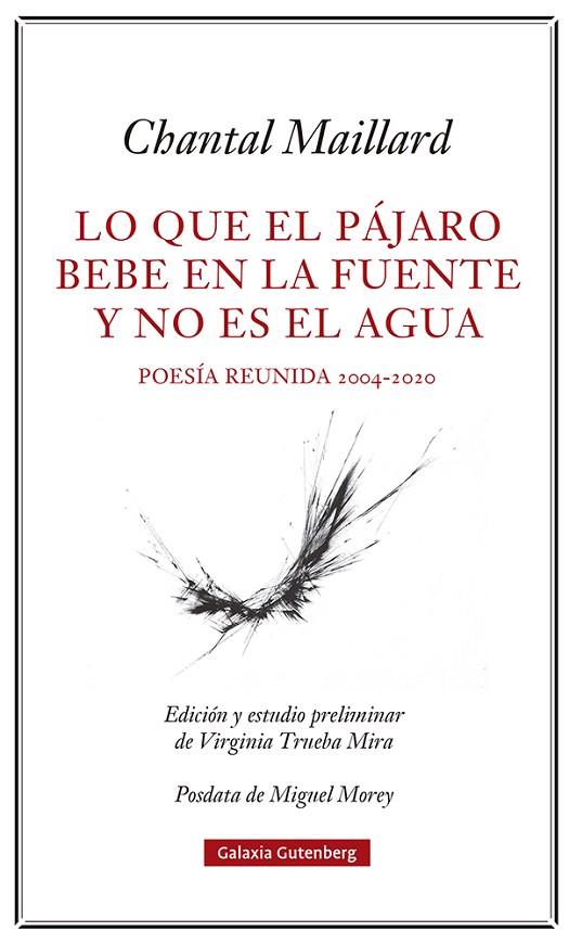 LO QUE EL PÁJARO BEBE EN LA FUENTE Y NO ES EL AGUA | 9788418807633 | MAILLARD, CHANTAL | Cooperativa Cultural Rocaguinarda