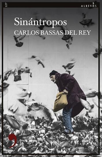 SINÁNTROPOS | 9788418584473 | BASSAS, CARLOS | Cooperativa Cultural Rocaguinarda
