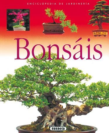 BONSÁIS | 9788430567652 | SUSAETA, EQUIPO | Cooperativa Cultural Rocaguinarda