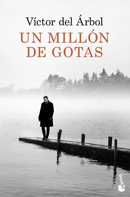 MILLÓN DE GOTAS, UN | 9788423349418 | ÁRBOL, VÍCTOR DEL | Cooperativa Cultural Rocaguinarda